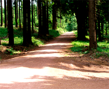 Wanderung auf dem Kammweg im Erzgebirge