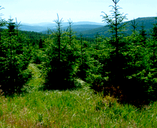 Wanderreise durch das Erzgebirge -Kammweg