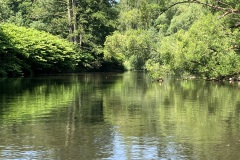 IMG_E5819